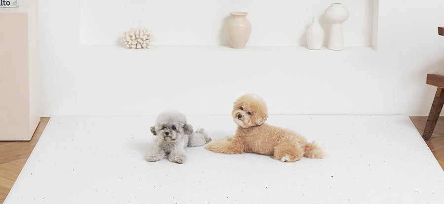 【韓国大人気ブランド】DoriDori ペットサークル ホワイト&ペットステップ DoriDori《ドリドリ》【公式】ベビー・キッズ／ペット用品