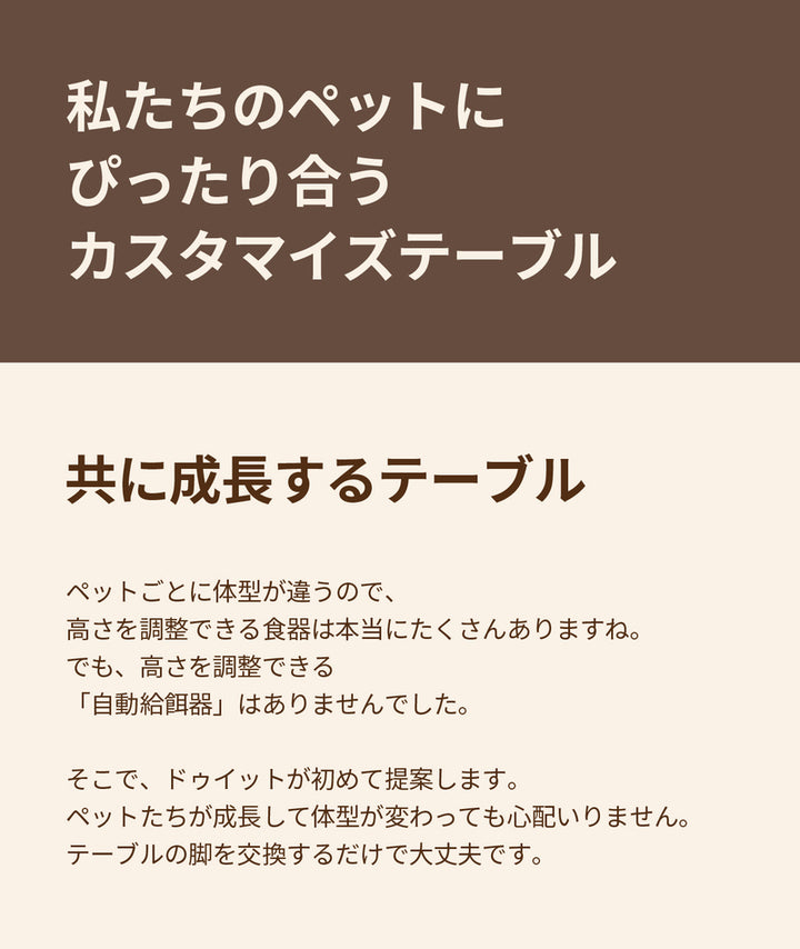 duit ドゥイット ザ・テーブル