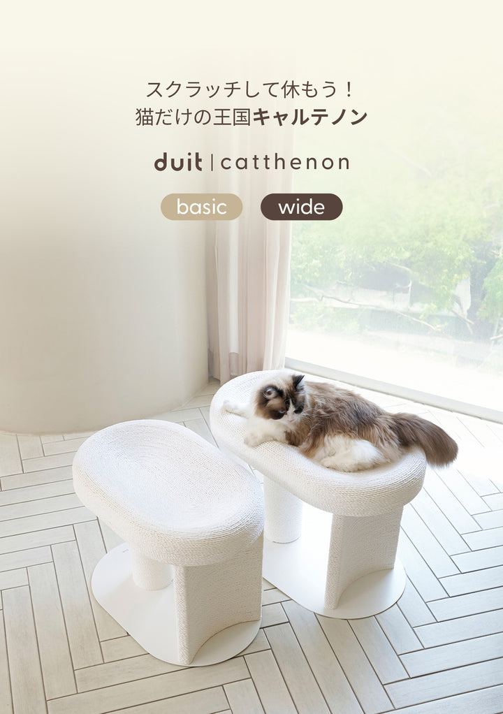 duit ドゥイット キャルテノン