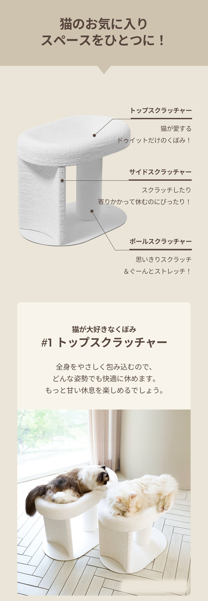 duit ドゥイット キャルテノン