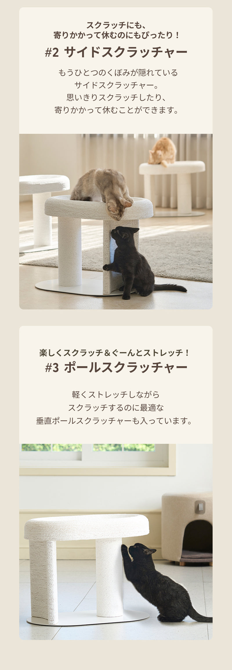 duit ドゥイット キャルテノン