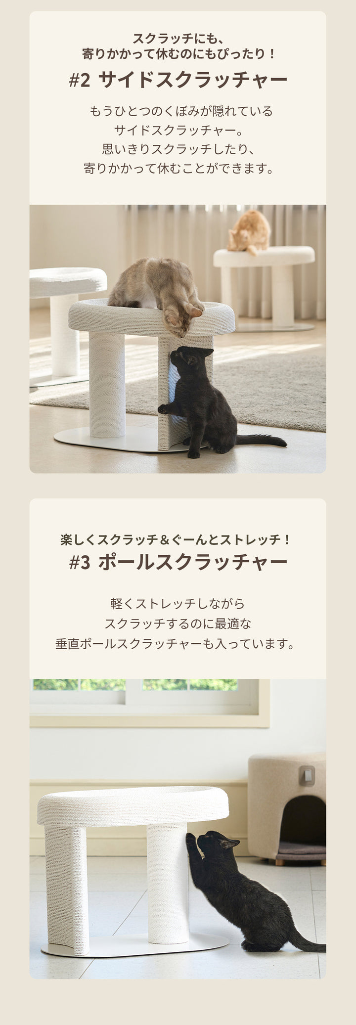 duit ドゥイット キャルテノン