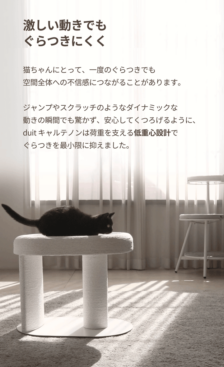 duit ドゥイット キャルテノン
