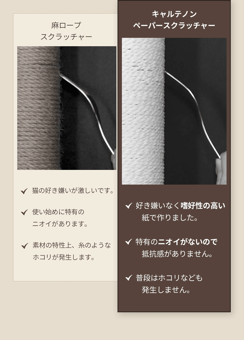 duit ドゥイット キャルテノン