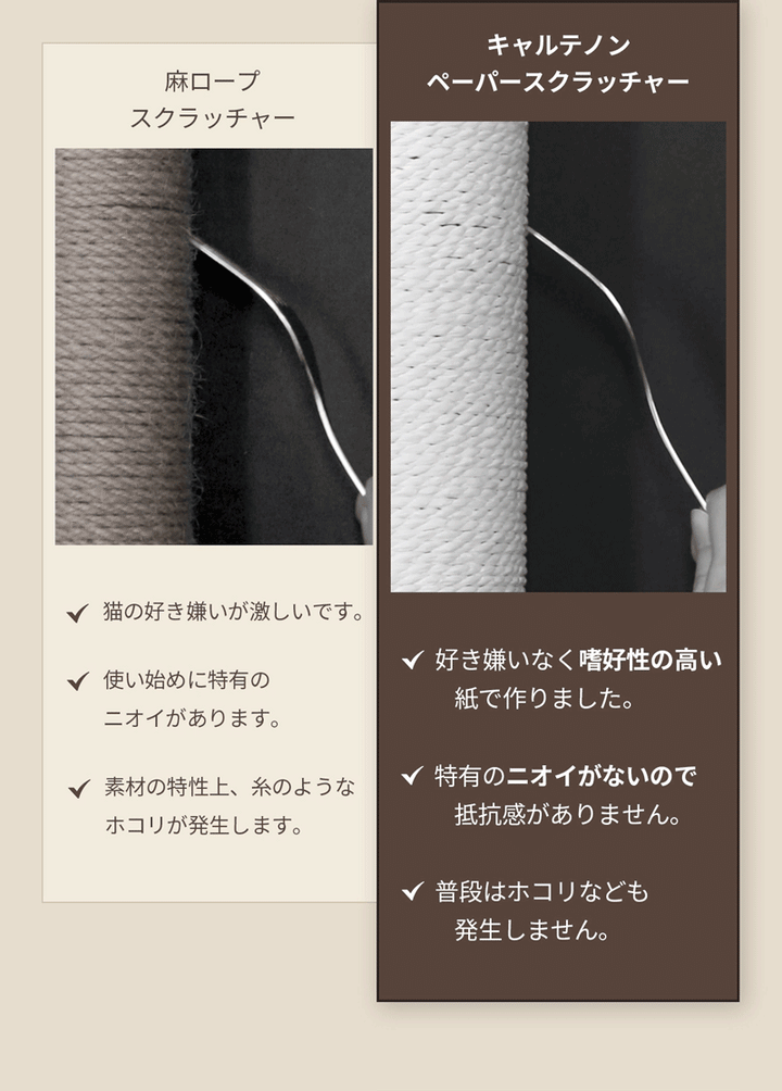 duit ドゥイット キャルテノン