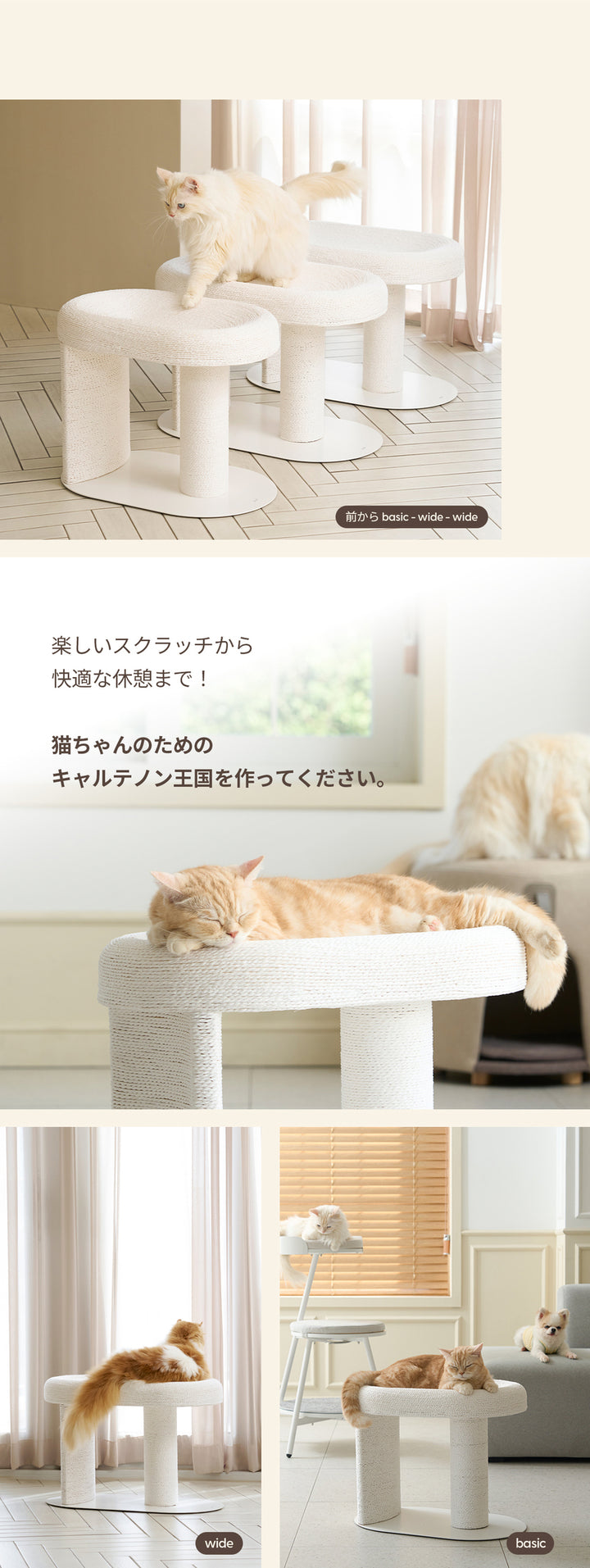 duit ドゥイット キャルテノン