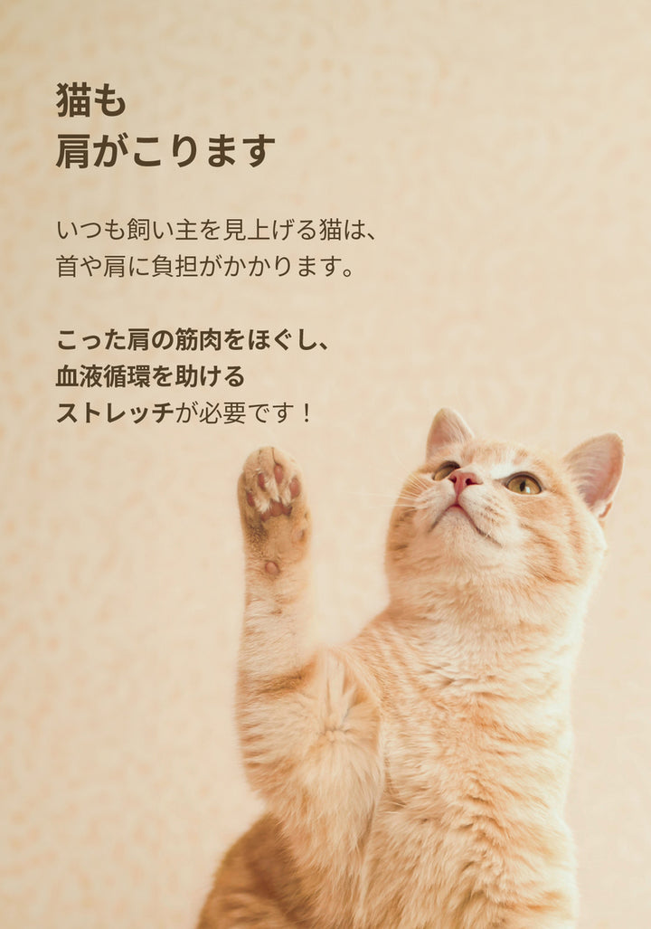 duit ドゥイット スタンディングボード