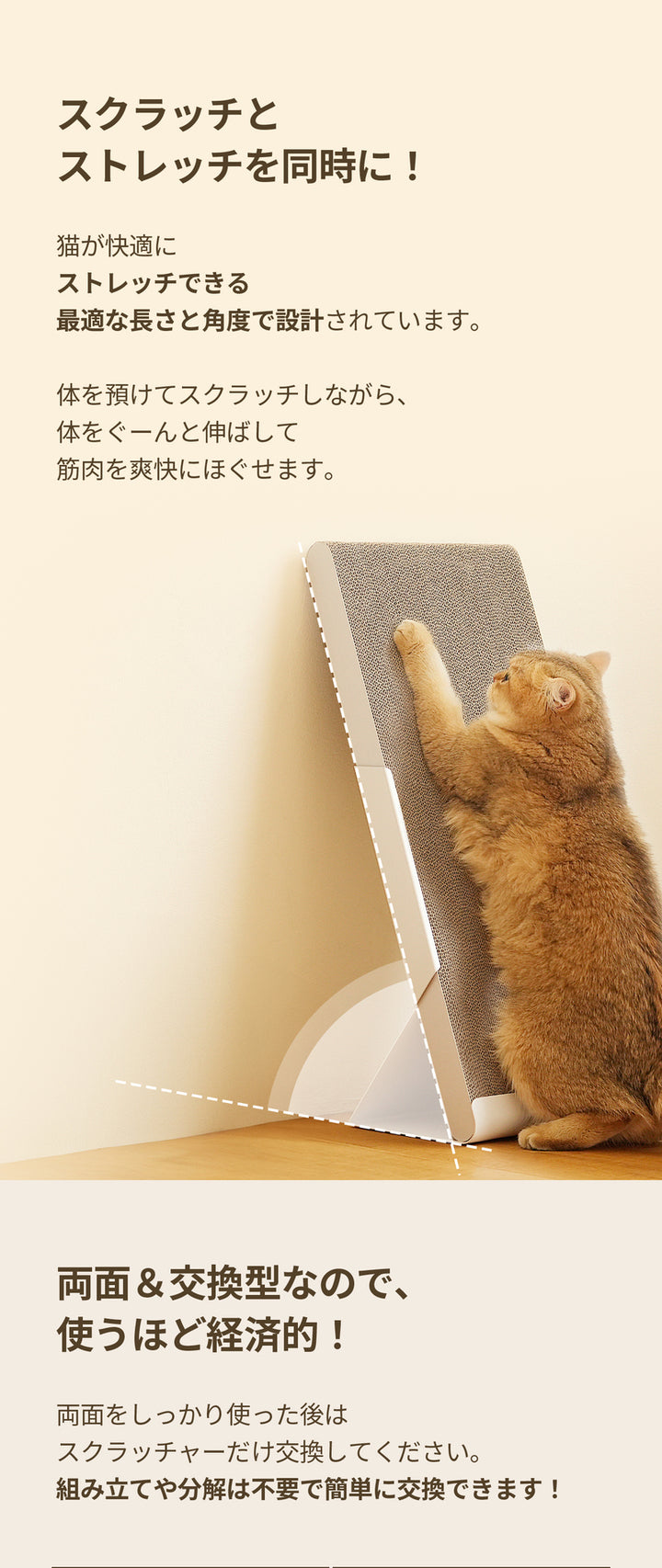 duit ドゥイット スタンディングボード