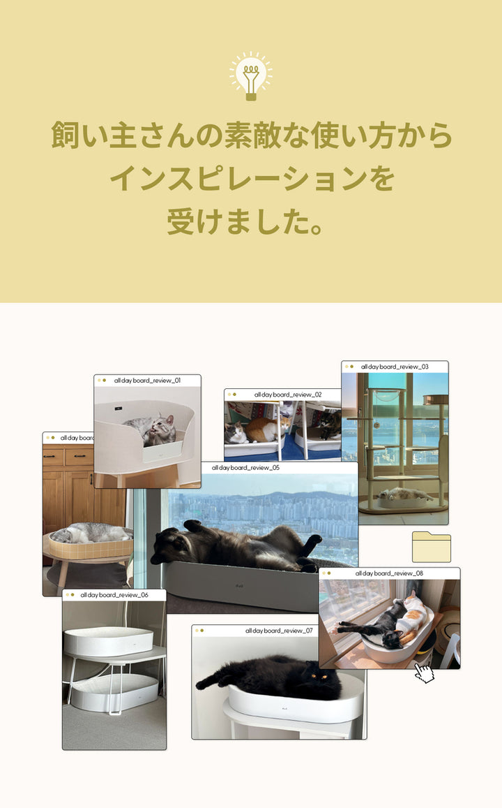 duit ドゥイット オールデイラック