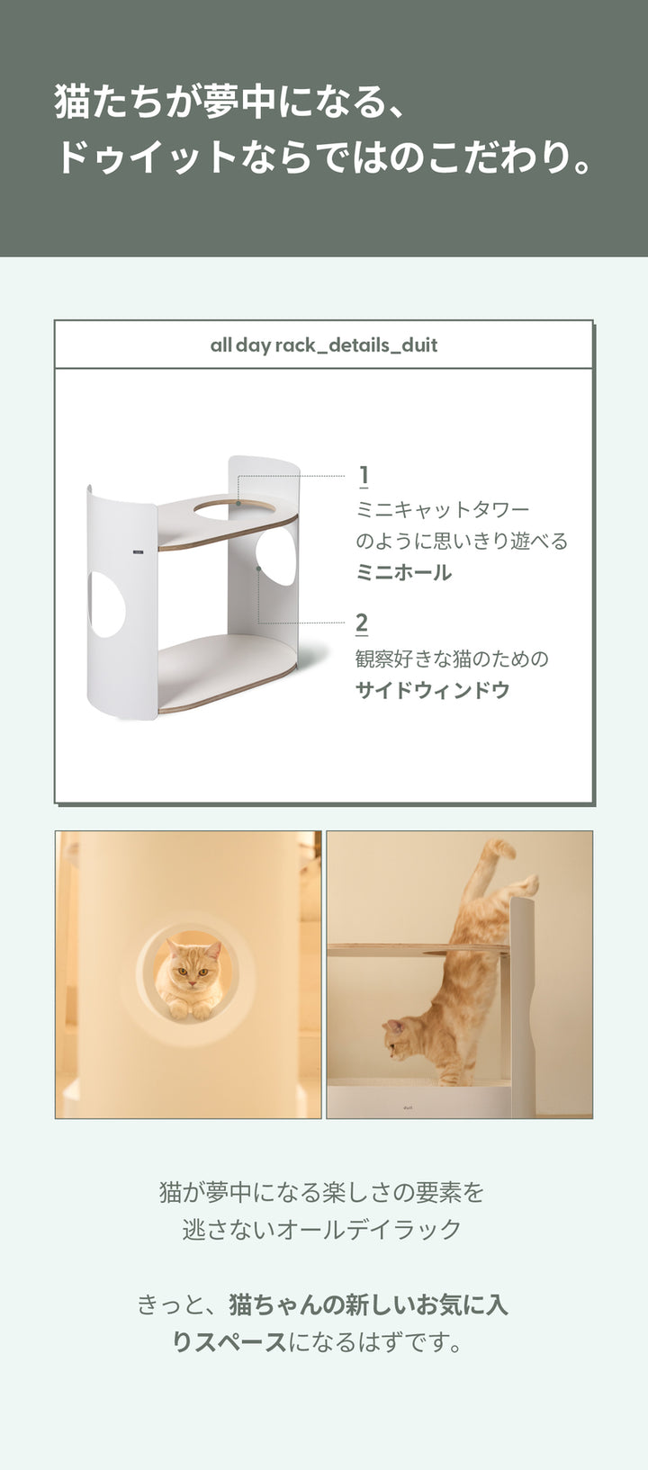 duit ドゥイット オールデイラック