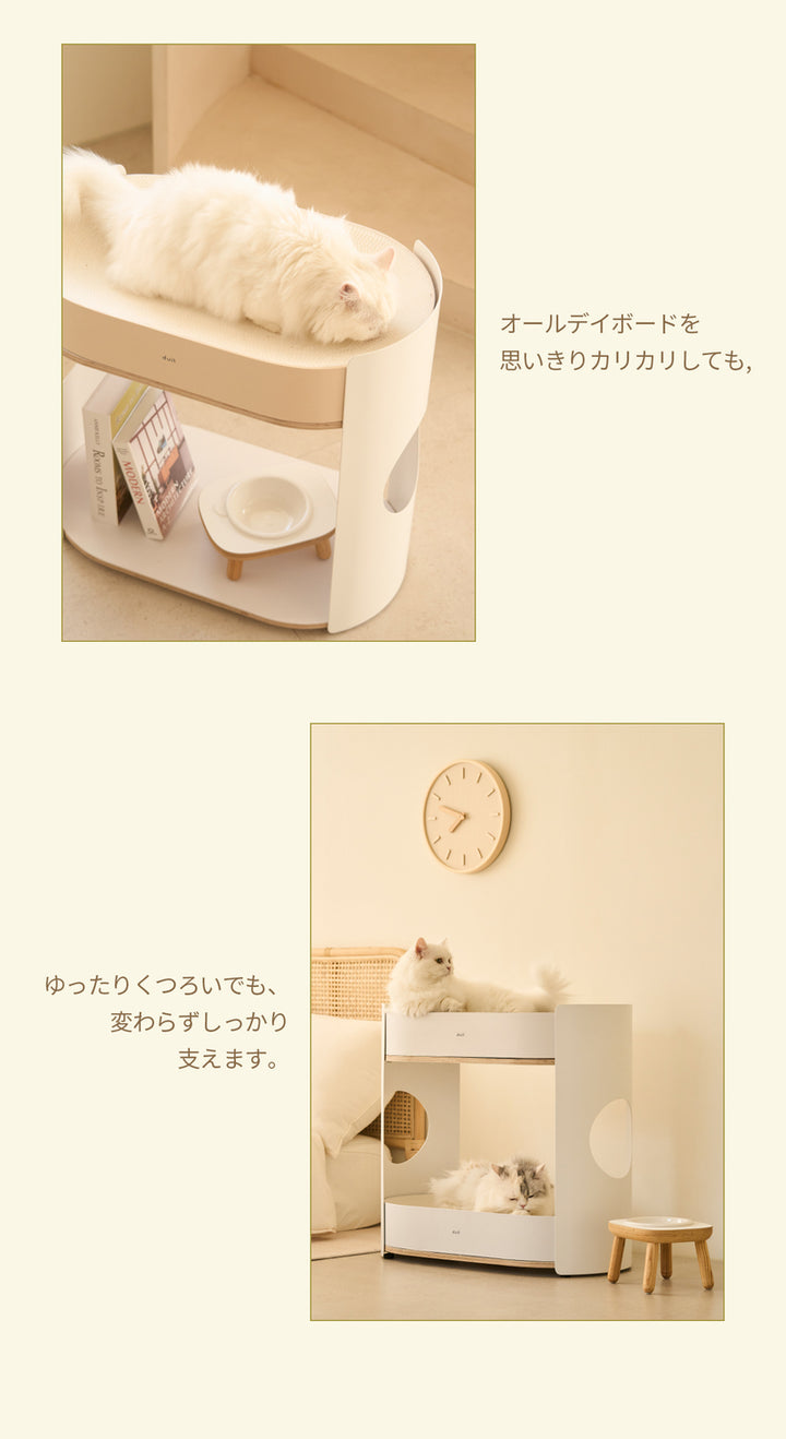 duit ドゥイット オールデイラック