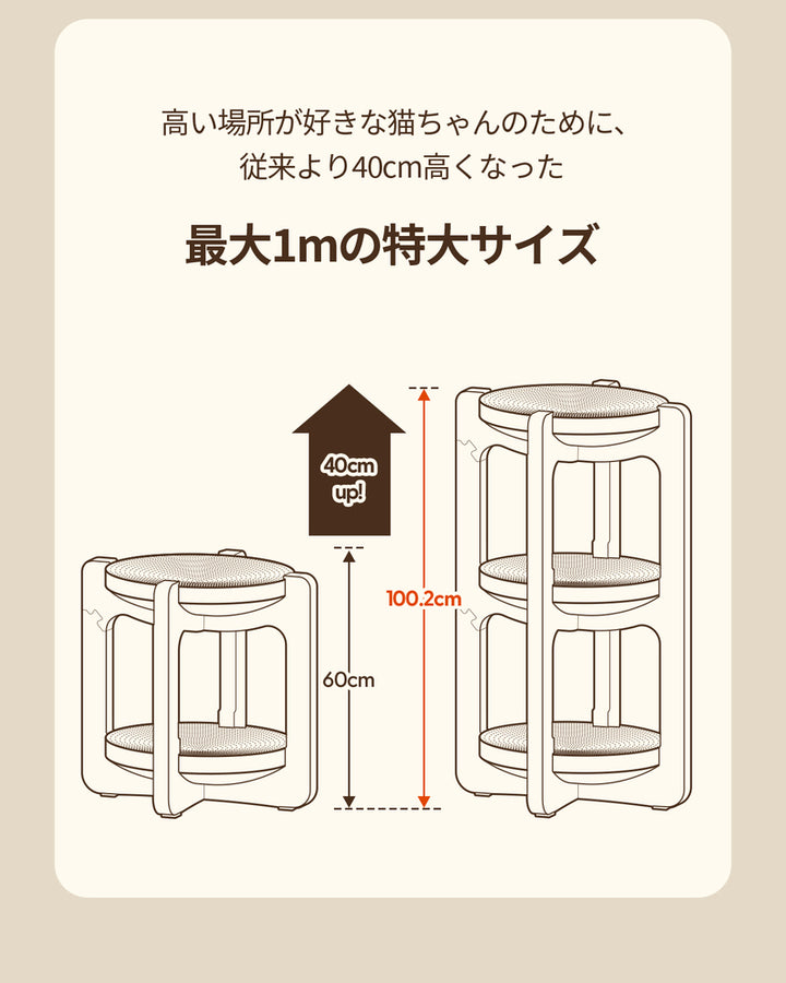 duit ドゥイット ティラミスボード