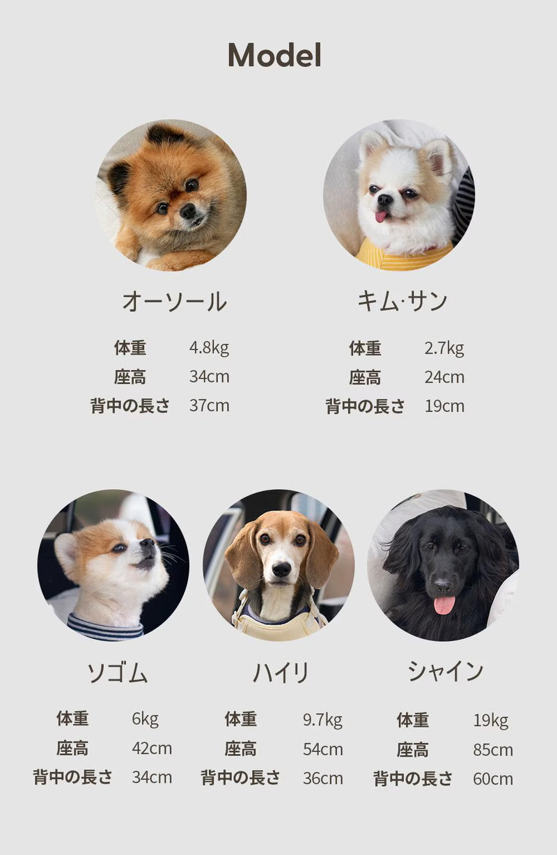 duit ドゥイット ゴーゴーカーシート