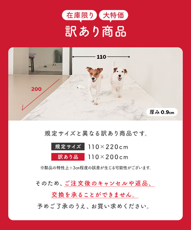 【訳あり商品：サイズ】110×200 防水 抗菌 ペットマット カットできるロールマットタイプ Dogzari Rollmat | ecofoam（エコフォーム）