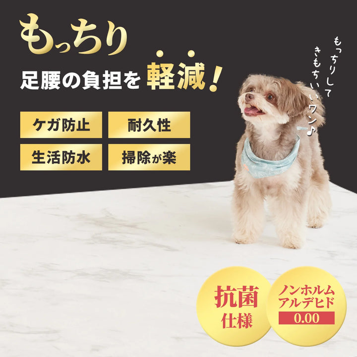 PVCマット ペット用フロアマット 220×110cm 180x140cm 65×180cm | DoriDori（ドリドリ）