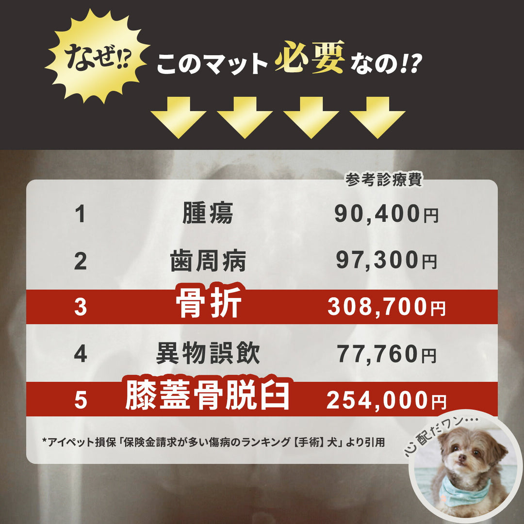 【一部予約】ドリドリマット 220×110cm 180x140cm 65×180cm hwn01-k hwn02-k hwn04-k | DoriDori（ドリドリ）