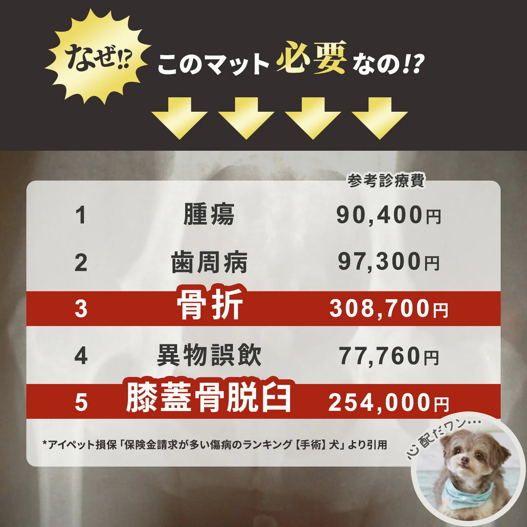 PVCマット ペット用フロアマット 220×110cm 180x140cm 65×180cm | DoriDori（ドリドリ）