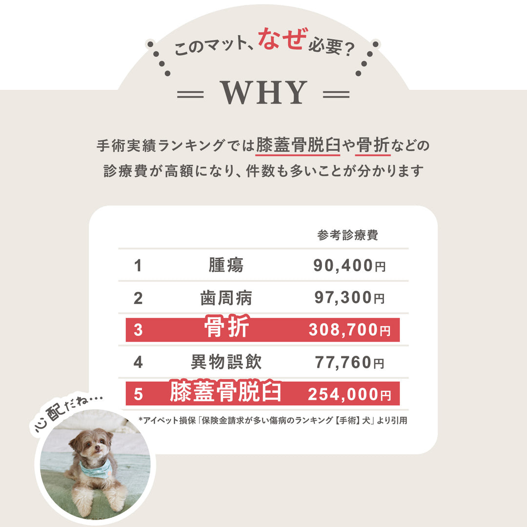 【一部予約】PVCマット ペット用フロアマット 220×110cm 180x140cm 65×180cm | DoriDori（ドリドリ）