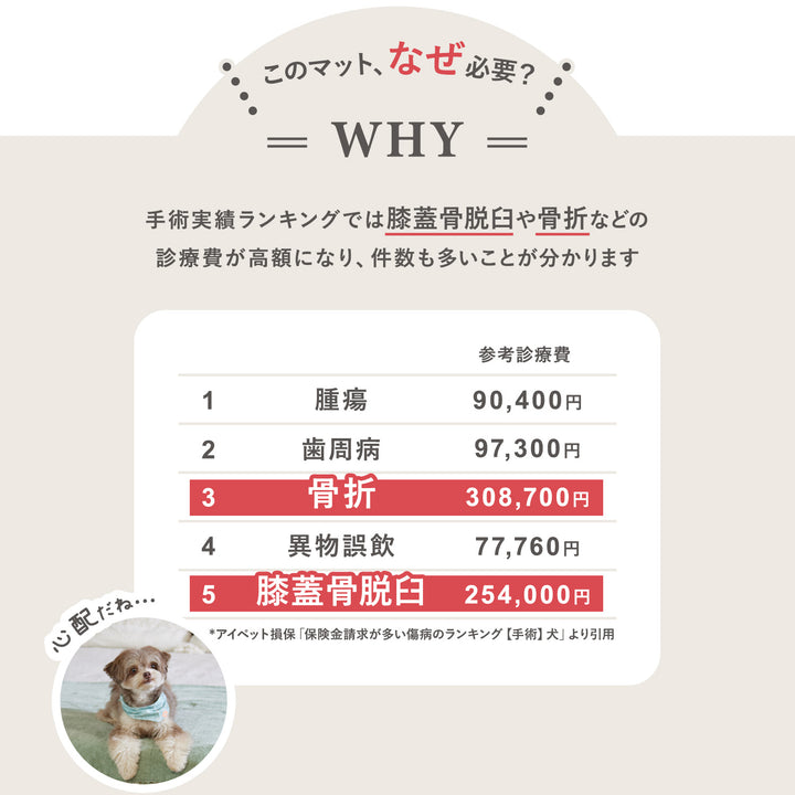 【一部予約】PVCマット ペット用フロアマット 220×110cm 180x140cm 65×180cm | DoriDori（ドリドリ）