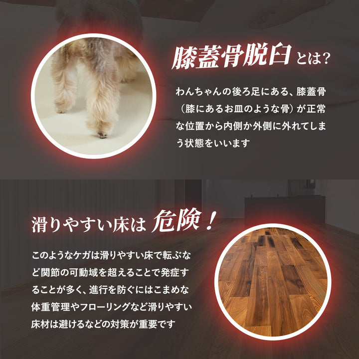 【一部予約】＼大型サイズ、新登場！／カットできる ドリドリロールマット 110×300×1.5cm 110×500×1.5cm hwn03-k | DoriDori（ドリドリ）