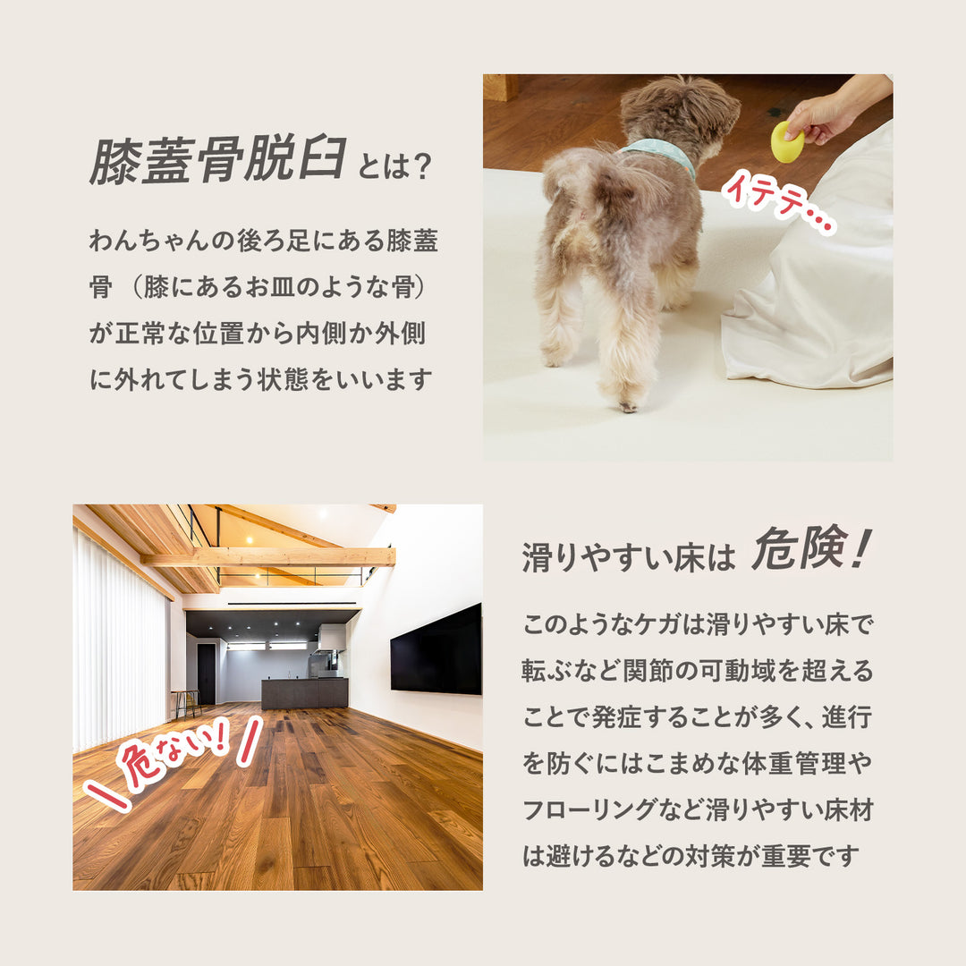 【一部予約】PVCマット ペット用フロアマット 220×110cm 180x140cm 65×180cm | DoriDori（ドリドリ）