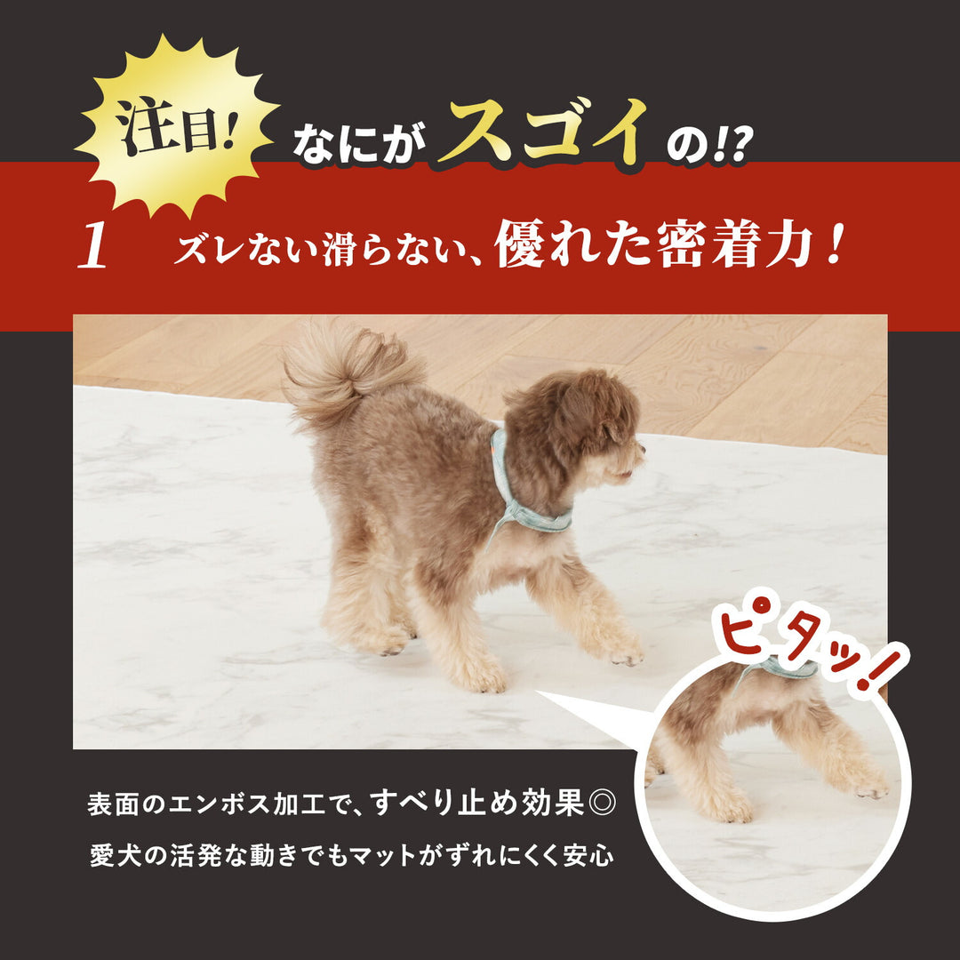 【一部予約】ドリドリマット 220×110cm 180x140cm 65×180cm hwn01-k hwn02-k hwn04-k | DoriDori（ドリドリ）