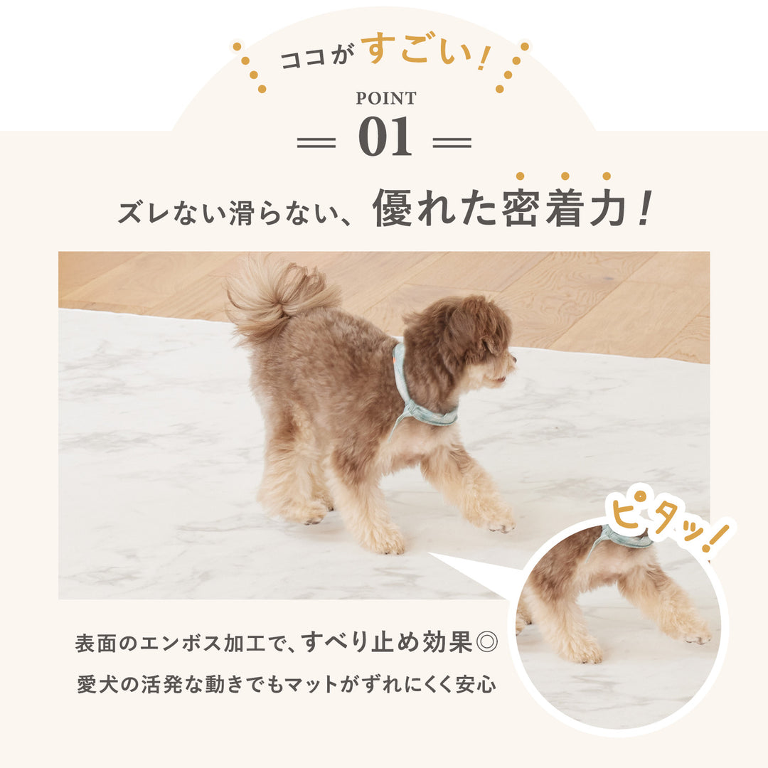 【一部予約】PVCマット ペット用フロアマット 220×110cm 180x140cm 65×180cm | DoriDori（ドリドリ）