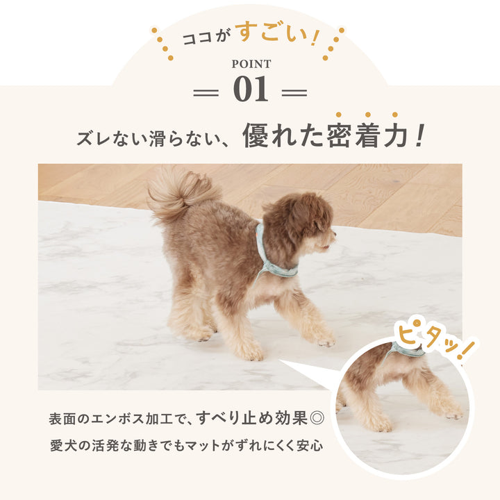 【一部予約】PVCマット ペット用フロアマット 220×110cm 180x140cm 65×180cm | DoriDori（ドリドリ）