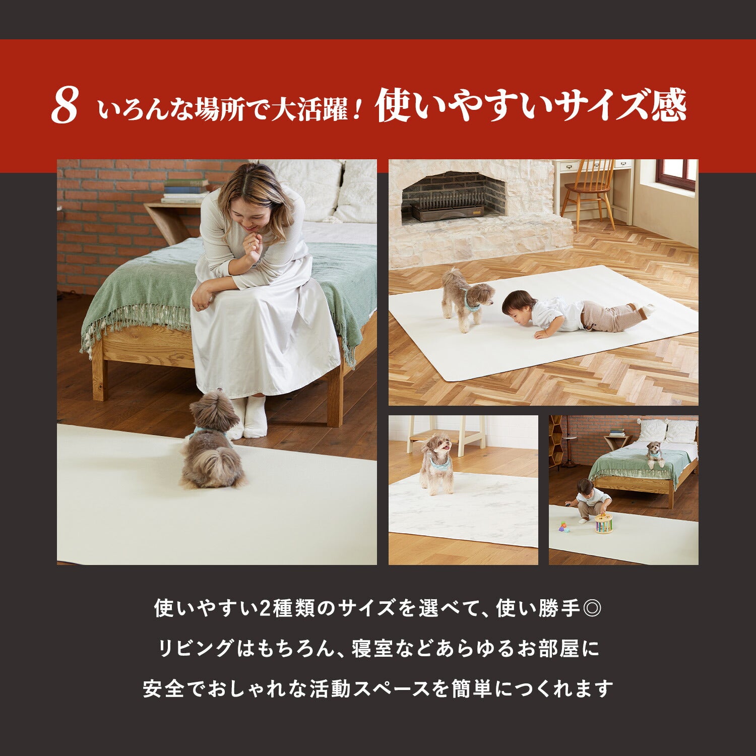 デジモン　ピクニックマット　韓国限定 TECHNO PRIME 玄関マット フライングモンスター 約40×60cm 室内