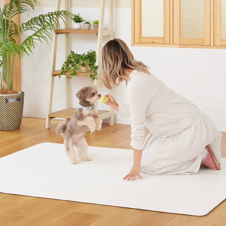 PVCマット ペット用フロアマット 220×110cm 180x140cm 65×180cm | DoriDori（ドリドリ）