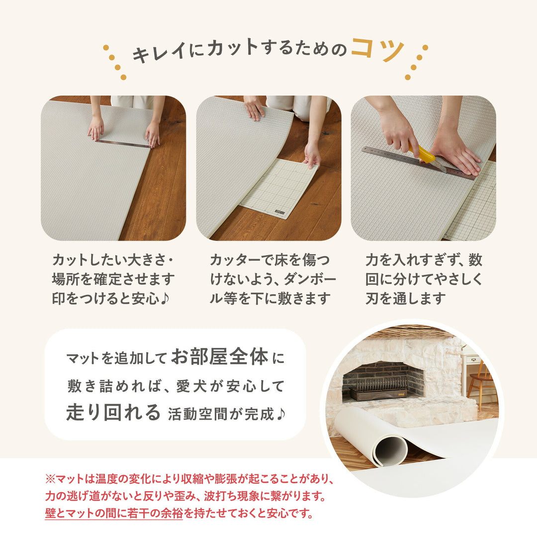 ドリドリ様の確認用