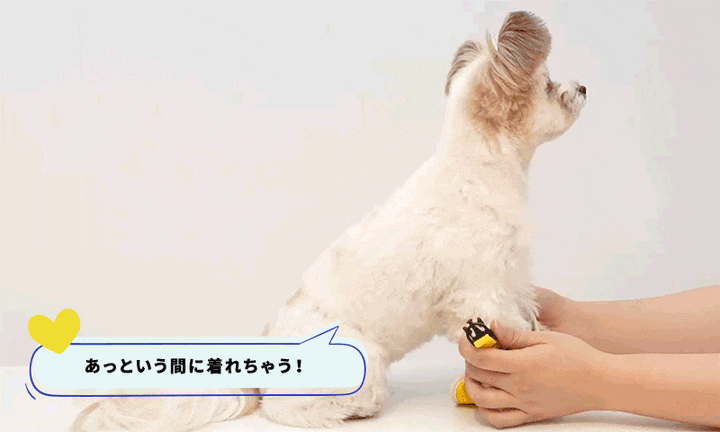 Laughing Charlie ラフィング・チャーリー イージーセーフ 犬用 虫よけハーネス 単品