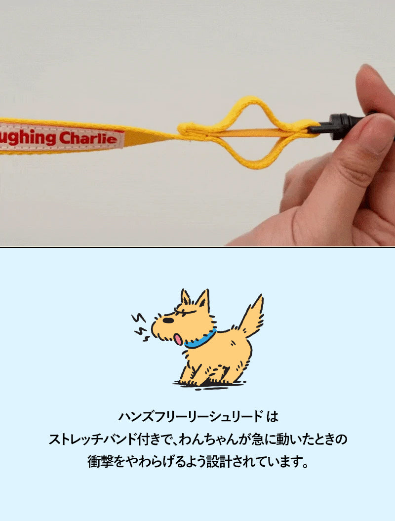 Laughing Charlie ラフィング・チャーリー 犬用 ハンズフリーリーシュリード