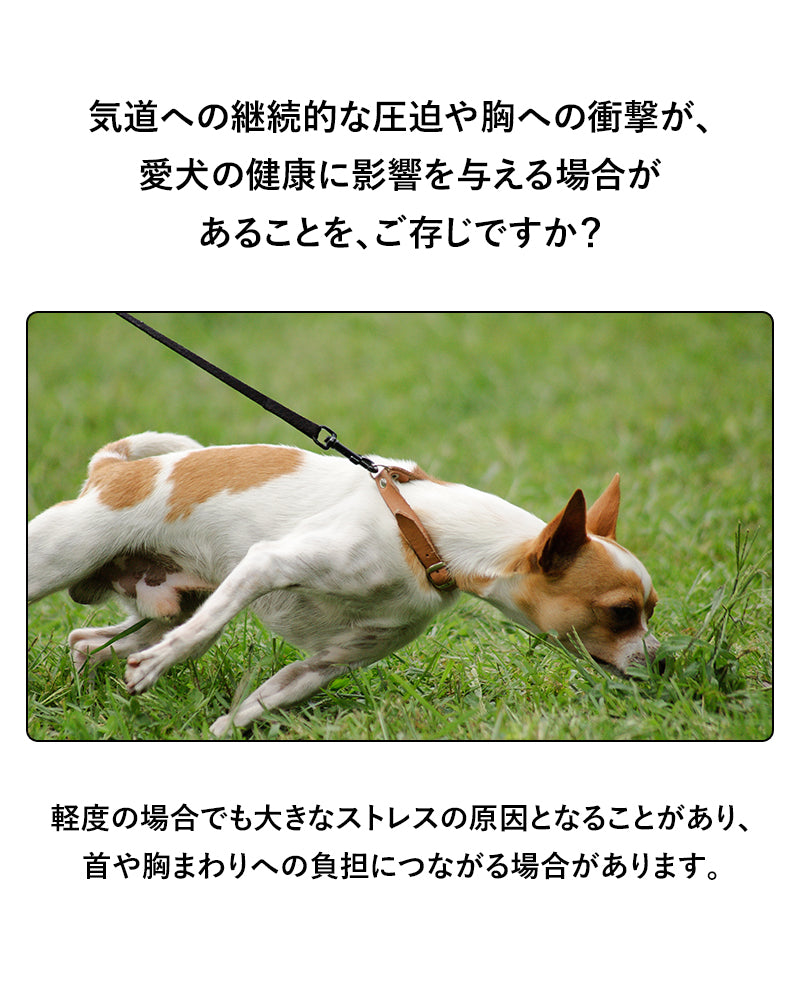 Laughing Charlie ラフィング・チャーリー 犬用 ハンズフリーリーシュリード
