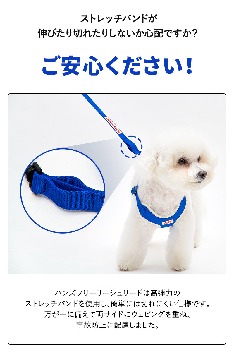 Laughing Charlie ラフィング・チャーリー 犬用 ハンズフリーリーシュリード