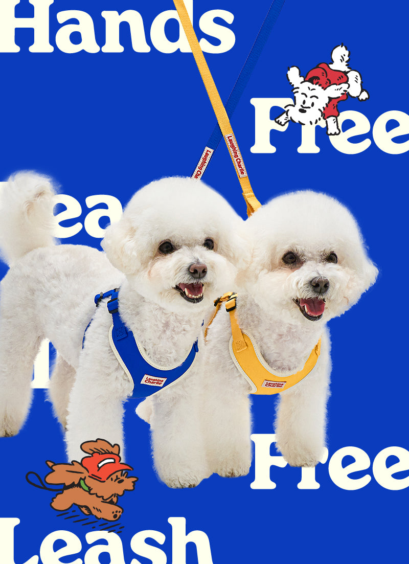 Laughing Charlie ラフィング・チャーリー 犬用 ハンズフリーリーシュリード