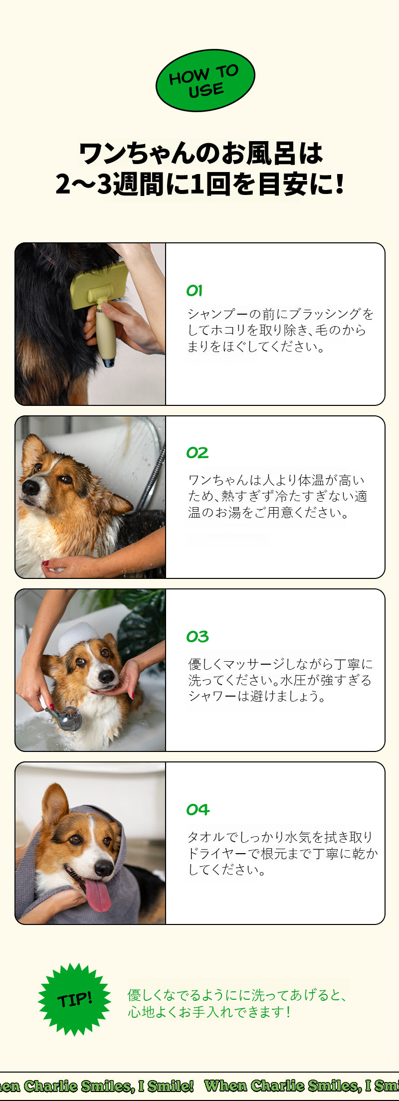Laughing Charlie ラフィング・チャーリー スージングシャンプー 476ml 1個