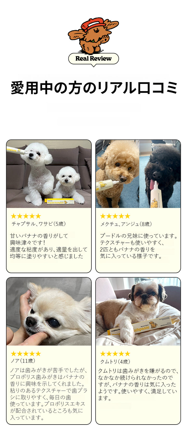 Laughing Charlie ラフィング・チャーリー 犬用 プロポリス歯磨き粉 バナナ味 60g