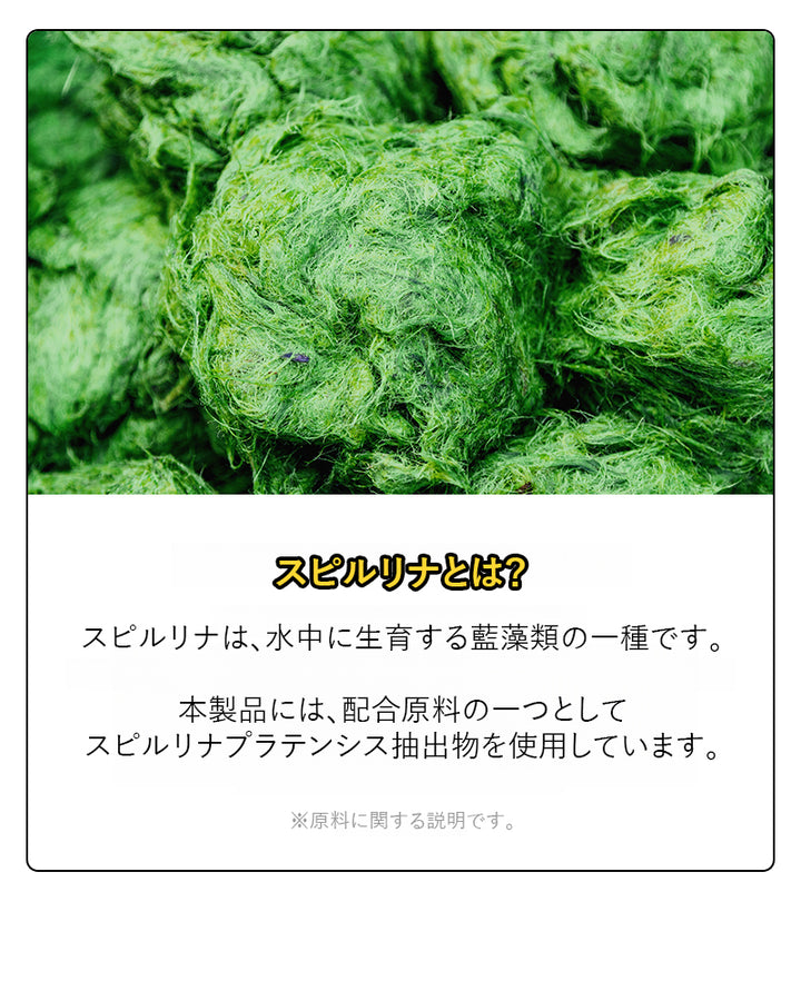 Laughing Charlie ラフィング・チャーリー 犬用 プロポリス歯磨き粉 バナナ味 60g