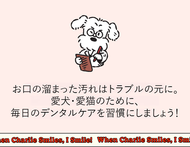 Laughing Charlie ラフィング・チャーリー ベリーデンタルスプレー 1個 120ml