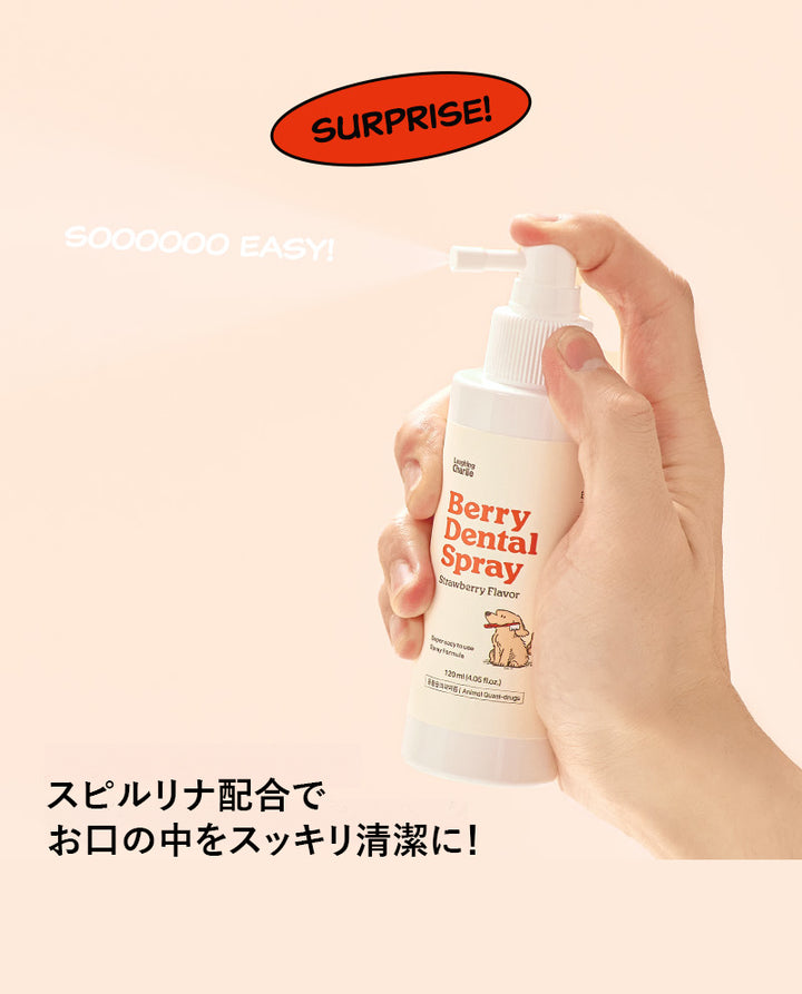 Laughing Charlie ラフィング・チャーリー ベリーデンタルスプレー 1個 120ml