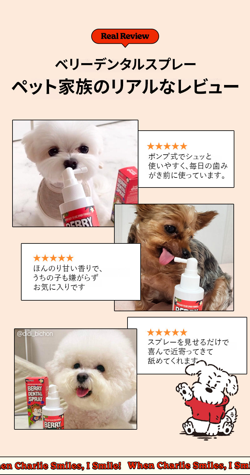 Laughing Charlie ラフィング・チャーリー ベリーデンタルスプレー 1個 120ml