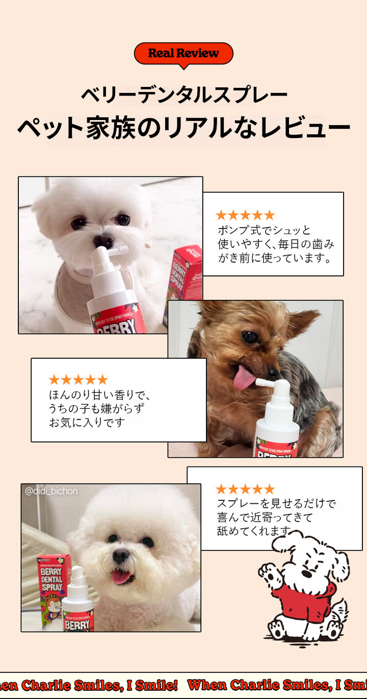 Laughing Charlie ラフィング・チャーリー ベリーデンタルスプレー 1個 120ml
