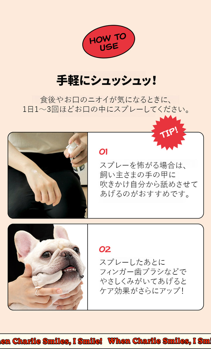 Laughing Charlie ラフィング・チャーリー ベリーデンタルスプレー 1個 120ml