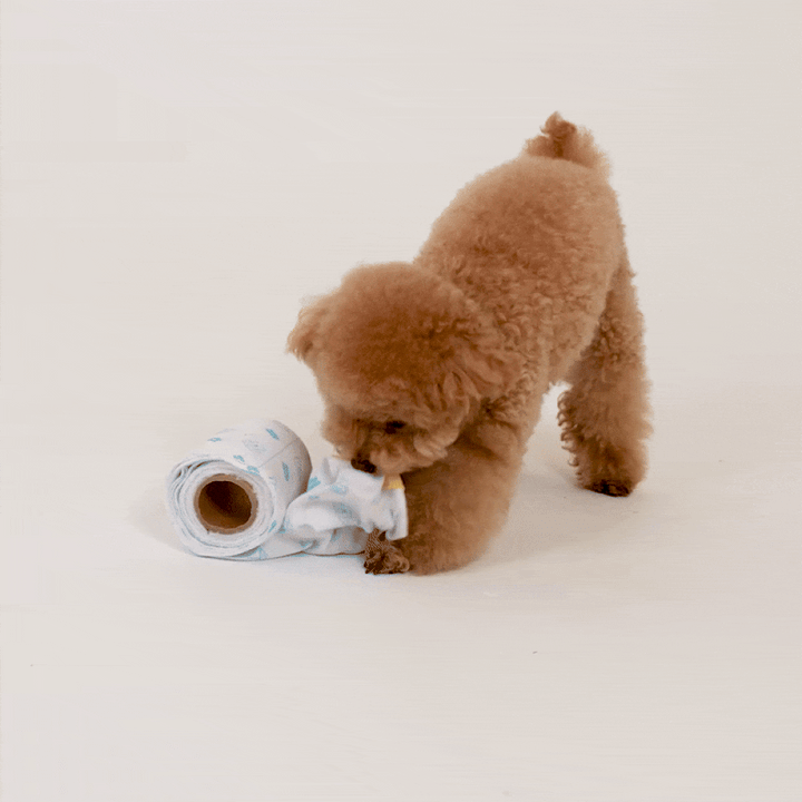 Laughing Charlie ラフィング・チャーリー トイレットペーパートイ 犬用 ノーズワークおもちゃ 300cm