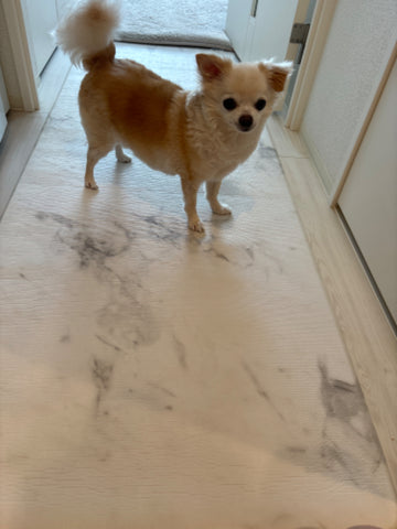 買ってよかったです | #1597538