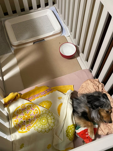 買ってよかった！ | #1887026