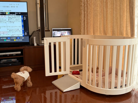 カワイイ | #2039221