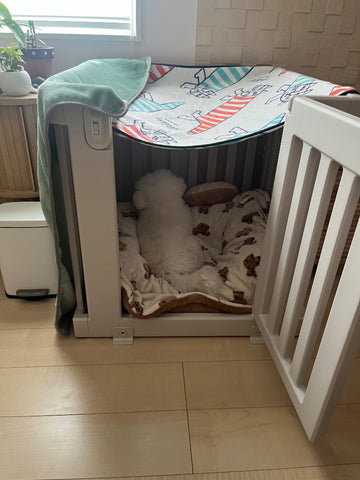 買って良かったです | #2086716