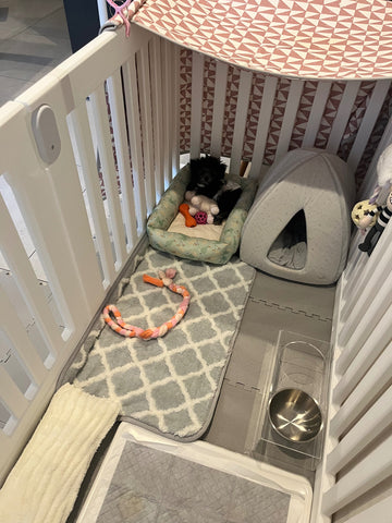 かわいいです！ | #2150900